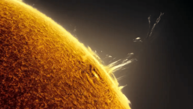 Tornado solar imágenes impactantes revelan la fuerza y belleza del sol