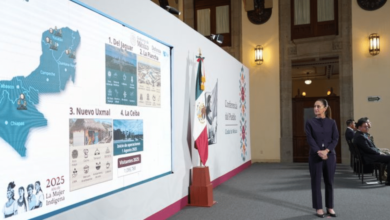 Tren Maya y su línea de carga van bien y son muy rentables Presidenta Claudia Sheinbaum