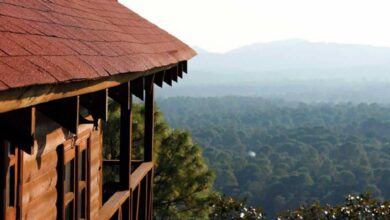 Conoce los Alpes Suizos de México, aquí te decimos cómo llegar (Foto de internet)
