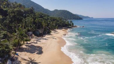 3 Playas de Puerto Vallarta perfectas para estas vacaciones de verano (Foto de internet)