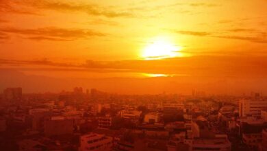 Fallecimientos en Europa por fuerte onda de calor, comienzo de la temporada (Foto de internet)
