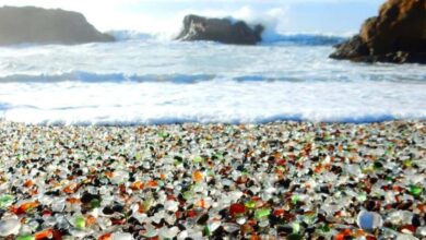 Conoce la playa de cristal en Fort Bragg, California (Foto de internet)