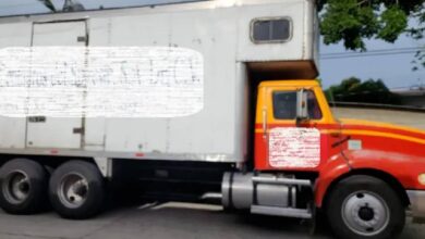 Más de 100 kilos de marihuana decomisada en Chiapas.