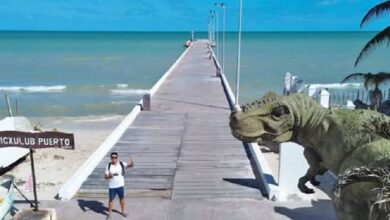 Chicxulub, combina la experiencia jurásica con hermosas aguas azul turquesa (Foto de El Viajero de México)