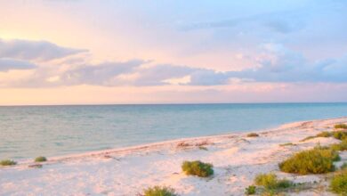 Disfruta de tus vacaciones en estas playas secretas de Yucatán (Foto de internet)