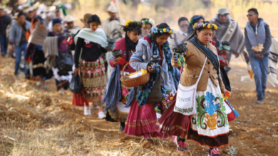 Se estima necesario exhortar al máximo tribunal del país a sentar un precedente fundamental para garantizar el bienestar de los pueblos y comunidades indígenas de México