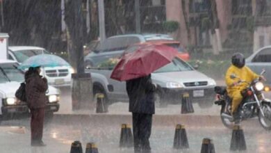 Tormenta tropical Flossie se debilita, se esperan lluvias fuertes en Jalisco y Nayarit (Foto de internet)