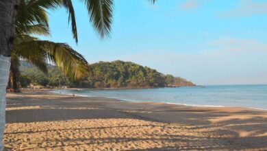 3 excelentes playas de Nayarit para disfrutar en las vacaciones de verano (Foto de internet)