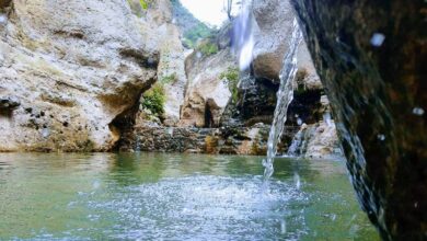 Manantiales de Querétaro perfectos para olvidarte del calor en verano (Foto de internet)
