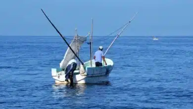 Queja de parte de los pescadores de Isla Arena