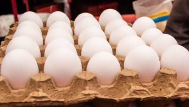 Sube un 20% el precio del huevo en Hopelchén