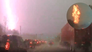 Alta repostería con frutas tropicales mexicanas un festín de color y sabor (1)