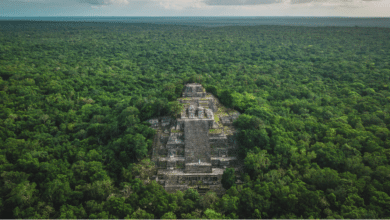 Calakmul el legado maya oculto en la selva de Campeche