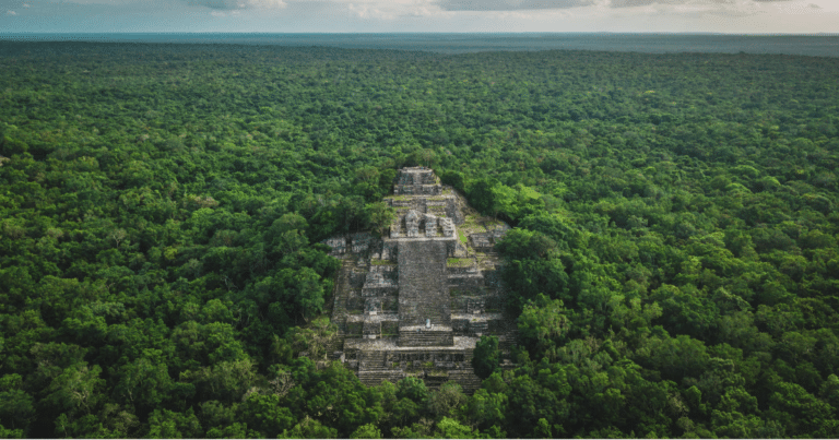 Calakmul el legado maya oculto en la selva de Campeche