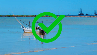 Campeche libre de marea roja pesca y playas permanecen seguras