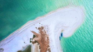 Cayo Arenas un rincón virgen para el ecoturismo en Campeche