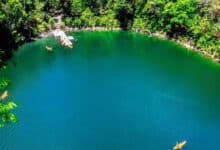 Cenotes de Miguel Colorado Secreto natural mejor guardado de Campeche