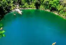 Cenotes de Miguel Colorado Secreto natural mejor guardado de Campeche