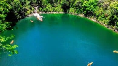 Cenotes de Miguel Colorado Secreto natural mejor guardado de Campeche