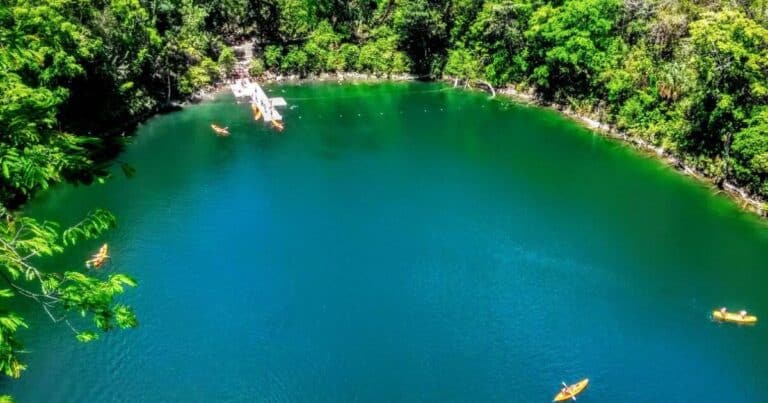 Cenotes de Miguel Colorado Secreto natural mejor guardado de Campeche