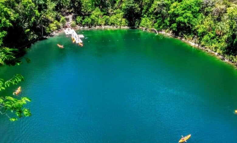 Cenotes de Miguel Colorado Secreto natural mejor guardado de Campeche