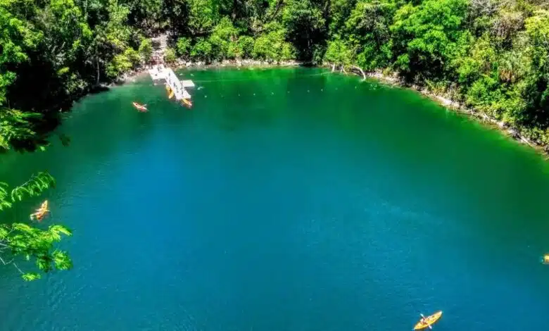 Cenotes de Miguel Colorado Secreto natural mejor guardado de Campeche