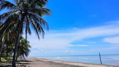 Descubre Nuevo Campechito Un rincón escondido en Campeche
