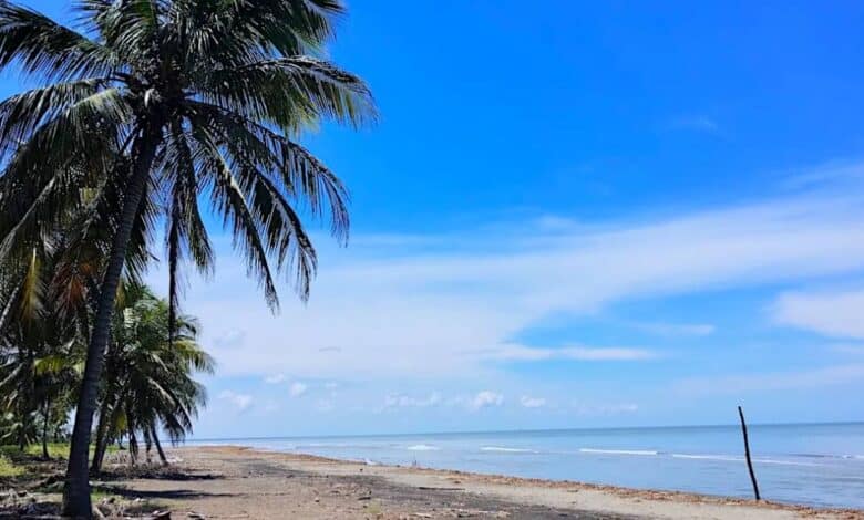 Descubre Nuevo Campechito Un rincón escondido en Campeche