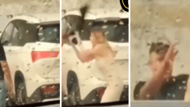 Discusión de pareja con palo en mano en Avenida Cuauhtémoc, Campeche