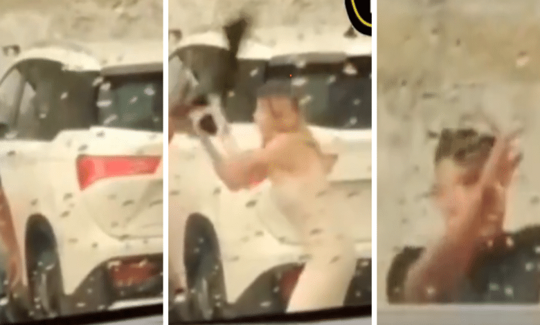 Discusión de pareja con palo en mano en Avenida Cuauhtémoc, Campeche
