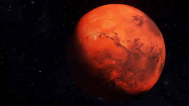 En una zona llamada Falbreen, el vehículo aprovechó el cielo inusualmente despejado y libre de polvo del 26 de mayo de 2025 para componer un mosaico fotográfico de alta resolución.