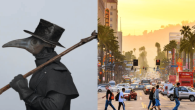 Las autoridades sanitarias de California confirmaron un caso de peste bubónica en la región del Lago Tahoe. Aunque la enfermedad puede tratarse con antibióticos, el hallazgo genera preocupación tras un fallecimiento reciente en Arizona.