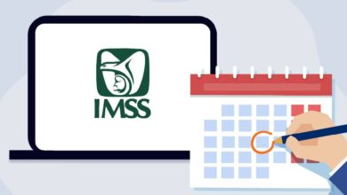 Cómo consultar tus semanas cotizadas en el IMSS (Foto de internet)
