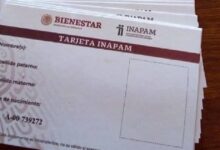 ¿Adultos mayores deben renovar credencial INAPAM en agosto 2025? (Foto de internet)
