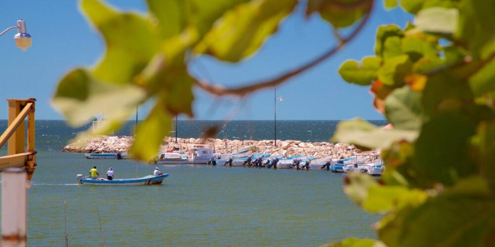 La caleta de Lerma rincón escondido de Campeche que guarda la paz del mar