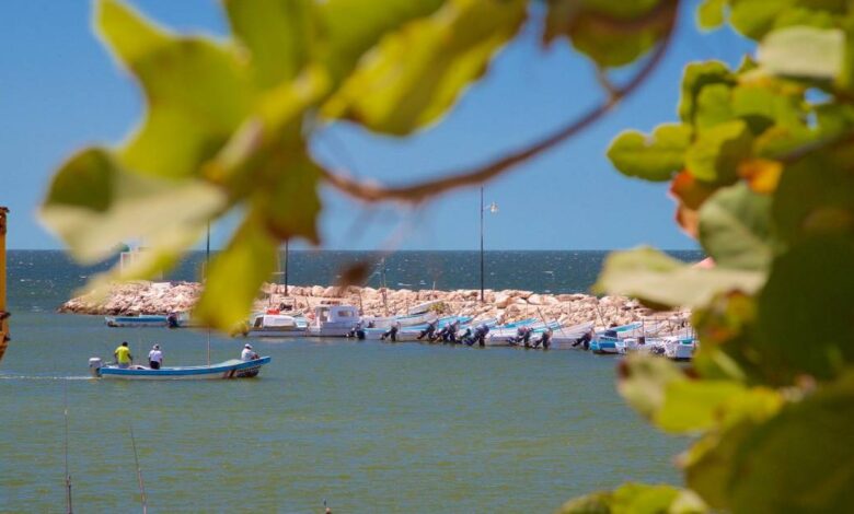 La caleta de Lerma rincón escondido de Campeche que guarda la paz del mar