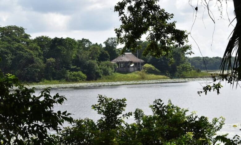 Laguna de Silvituc en Escárcega Lugar con encanto en Campeche