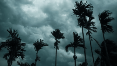 Lluvias muy fuertes afectarán a más de 13 estados este viernes en México