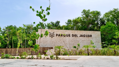 Grupo Mundo Maya garantiza acceso gratuito los días domingo al Parque del Jaguar