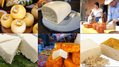 Quesos artesanales de México poco conocidos