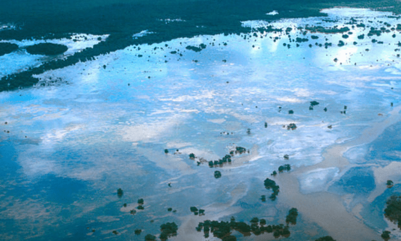 Los Petenes, reserva de la Biosfera y humedal de importancia internacional en Campeche