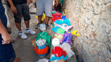 Profepa investiga posible maltrato animal en evento en Calkiní, Campeche