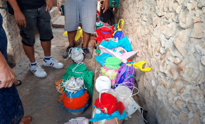 Profepa investiga posible maltrato animal en evento en Calkiní, Campeche