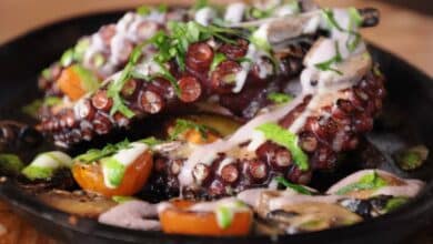 Pulpo en su Tinta Sabor del mar de Campeche