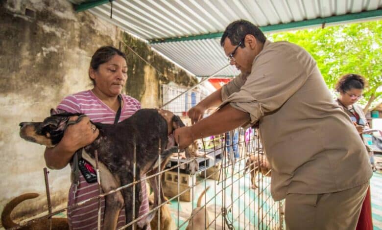 Realizan jornada de vacunación antirrábica en Carmen