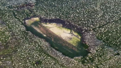 Vecinos del barrio Guadalupe en Campeche exigen reparación urgente de hoyanco y fuga de agua