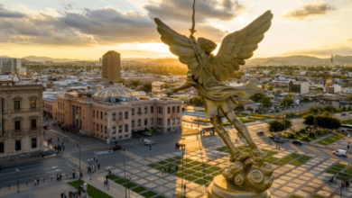 Entre barrancas que tocan el cielo, desiertos que guardan secretos y ciudades que narran epopeyas, Chihuahua se erige como un viaje al alma del México más vasto y legendario.