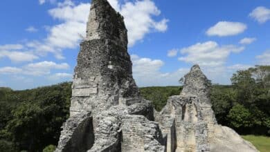 Xpujil: donde la selva susurra historias de piedra y tiempo