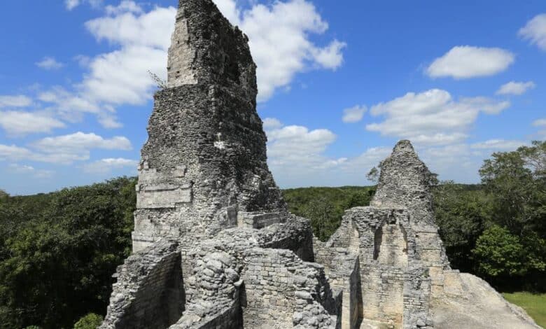 Xpujil: donde la selva susurra historias de piedra y tiempo