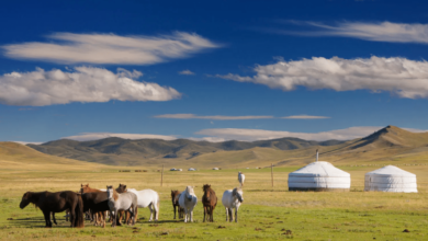 Desde las vastas estepas hasta el desierto del Gobi, el país ofrece a los visitantes la oportunidad de convivir con familias nómadas y conocer un estilo de vida que se mantiene prácticamente intacto desde hace siglos.